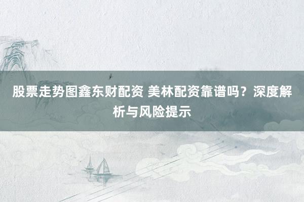 股票走势图鑫东财配资 美林配资靠谱吗？深度解析与风险提示