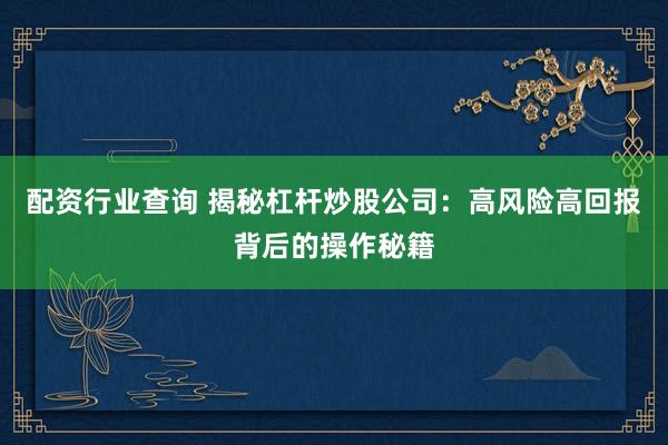 配资行业查询 揭秘杠杆炒股公司：高风险高回报背后的操作秘籍