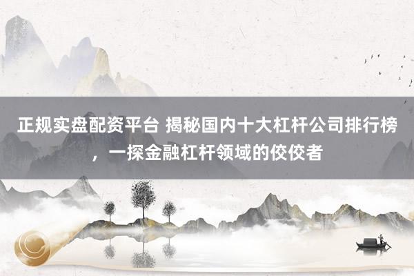 正规实盘配资平台 揭秘国内十大杠杆公司排行榜，一探金融杠杆领域的佼佼者