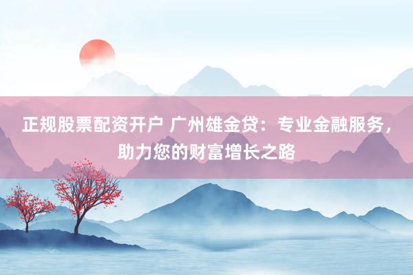 正规股票配资开户 广州雄金贷：专业金融服务，助力您的财富增长之路