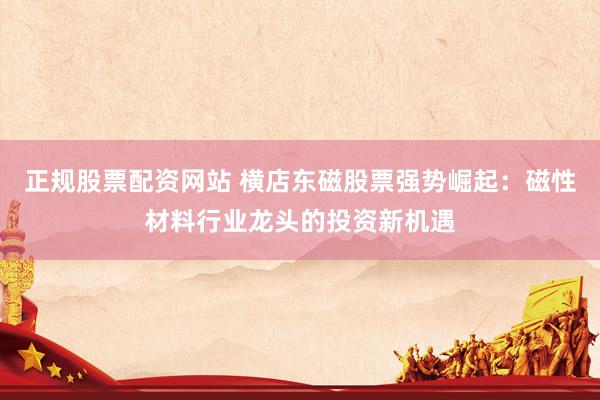正规股票配资网站 横店东磁股票强势崛起：磁性材料行业龙头的投资新机遇