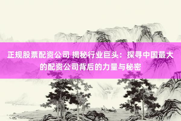 正规股票配资公司 揭秘行业巨头：探寻中国最大的配资公司背后的力量与秘密