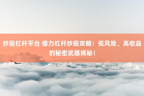 炒股杠杆平台 借力杠杆炒股攻略：低风险、高收益的秘密武器揭秘！