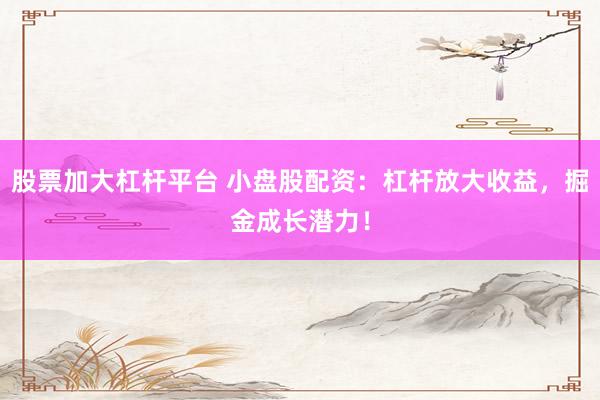 股票加大杠杆平台 小盘股配资：杠杆放大收益，掘金成长潜力！