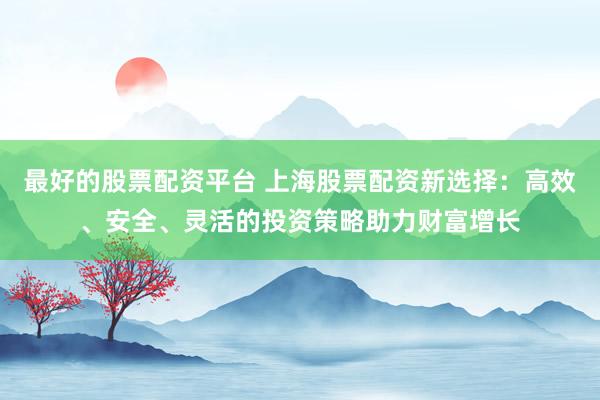 最好的股票配资平台 上海股票配资新选择：高效、安全、灵活的投资策略助力财富增长