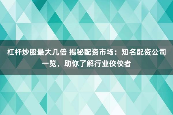 杠杆炒股最大几倍 揭秘配资市场：知名配资公司一览，助你了解行业佼佼者