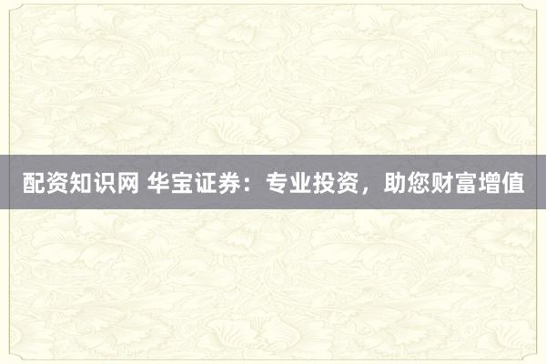 配资知识网 华宝证券:专业投资,助您财富增值