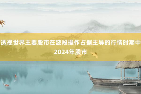 透视世界主要股市在波段操作占据主导的行情时期中2024年股市